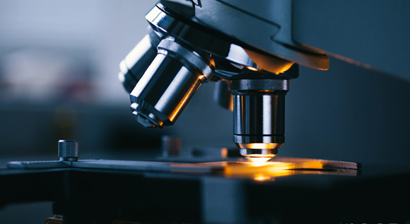 918.com(中国区)官方网站